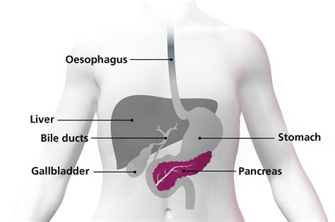 What is pancreatic cancer? - NHS