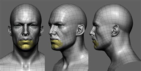 Character Face Reference 3d Model