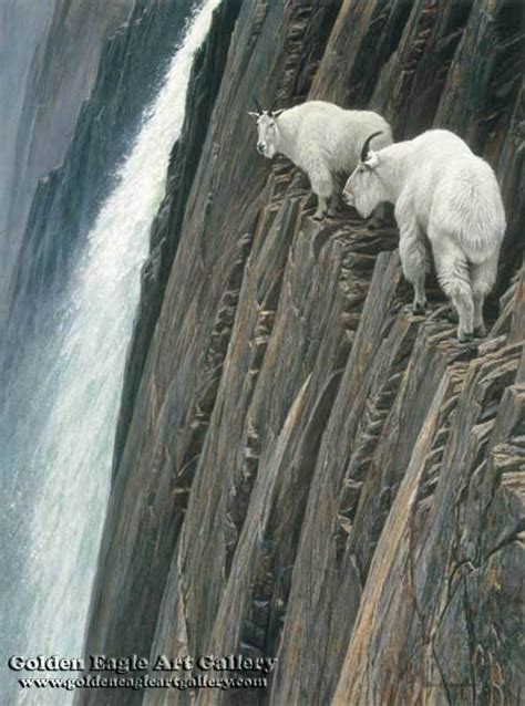 Sheer Drop - Mountain Goats | Golden Eagle Art Gallery