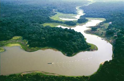 El 40 % del Amazonas puede convertirse en un ecosistema tipo sabana