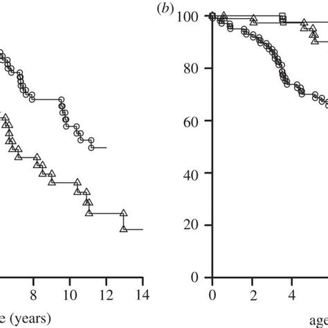 Arrangement of species of Camptotypus genus-group in NONA cladogram,... | Download Scientific ...