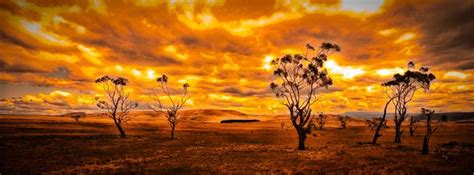 I Love a sunburnt country by rick6100 on deviantART | Country, Sunset, Australia