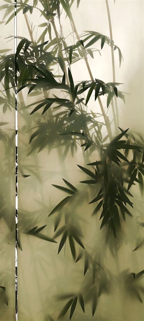 Plants, bamboo, aesthetic Chinese Aesthetic, Plant Aesthetic, Nature Aesthetic, Green Aesthetic ...