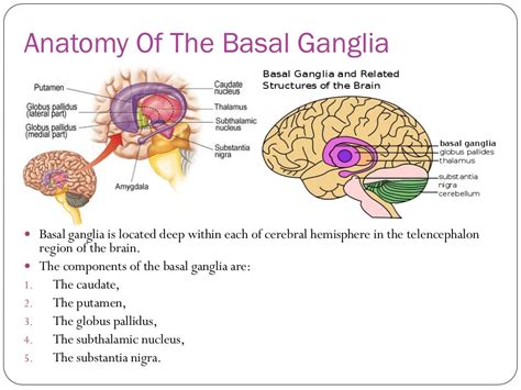 Stroke basal ganglia bleed