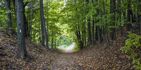 Best Hiking Trails in Ontario for Long Distance Hikes: Ontario's Longest Hiking Trails (100km ...