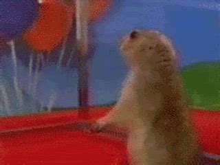 Image - Dramatic-Prairie-Dog.gif | UnAnything Wiki | FANDOM powered by ...