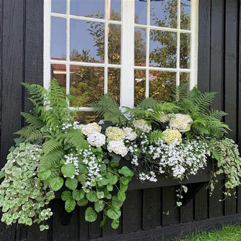 Instagram | Garden containers, Garden inspiration, Window box flowers