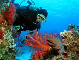 Israel & Jordan - Mediterranean Red Sea Diving & Land Safari (8-day ...