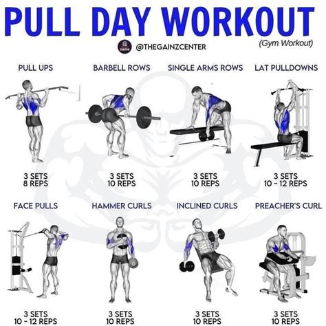 Pull Day Workout | Pull day workout, Push workout, Push pull workout routine