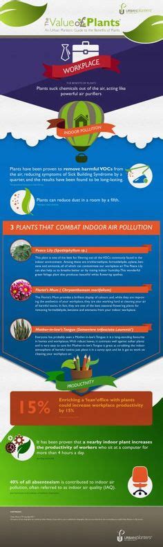 12 Health Benefits of Plants ideas | plants, urban planters, health benefits