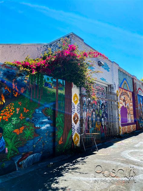 San Francisco Mission District Murals: 3 Reasons Why You Should Visit ...