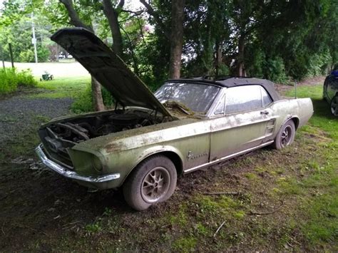 Shade Tree Find: 1967 Ford Mustang Convertible | Barn Finds