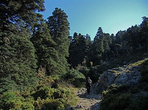 Grazalema: Natural Park of the White Villages in Andalusia. - Boutique Hotels In Spain