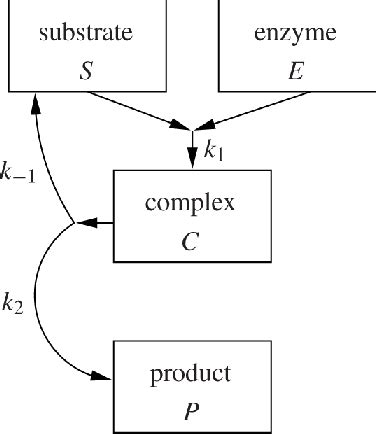 [PDF] A Primer on Mathematical Models in Biology | Semantic Scholar