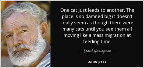 Ernest Hemingway quote: One cat just leads to another. The place is so...