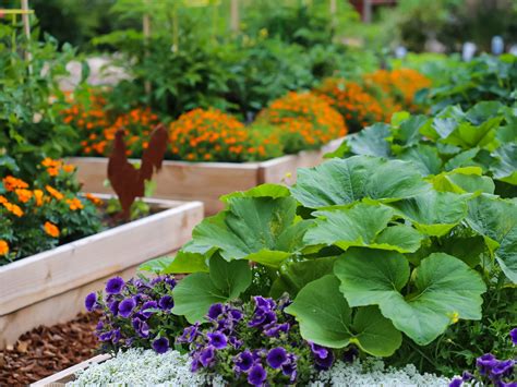 Perennial Flowers For Vegetable Garden : 9 Best Flowers For The ...