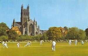 Worcester England Worcester Cathedral Cricket Ground Vintage Postcard ...