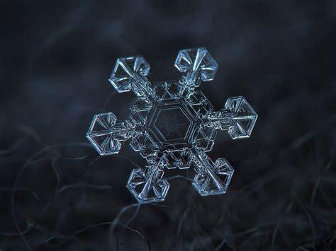 How to take Macro Snowflakes Photography under $50 Customized Lens