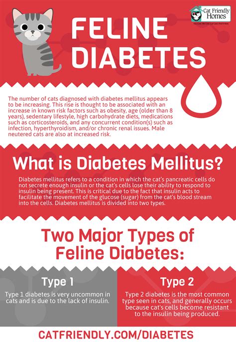 Diabetes Mellitus in Cats - CatPedia