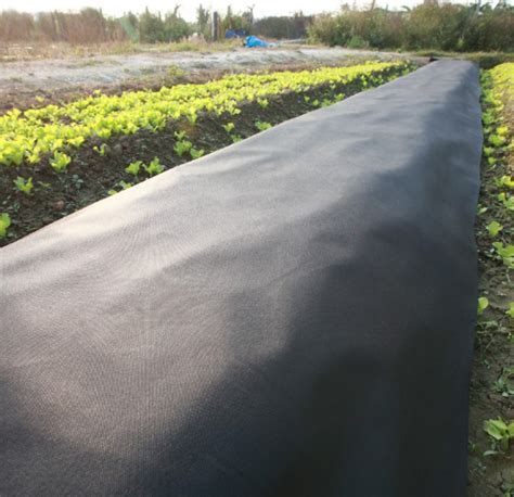 Weed Control Fabric