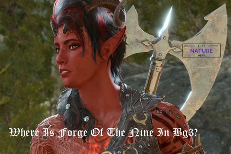 Forge Of The Nine In Baldur's Gate 3: Location And Rewards - The Nature Hero