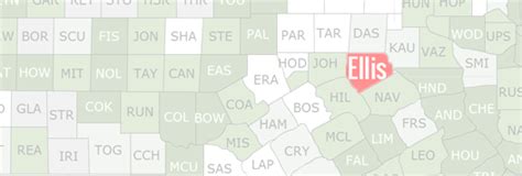 Search for Ellis County, Texas Public Statistics & Vital Record