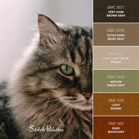 Brown Tabby Cat - Embroidery Color Palette (With Thread Codes)