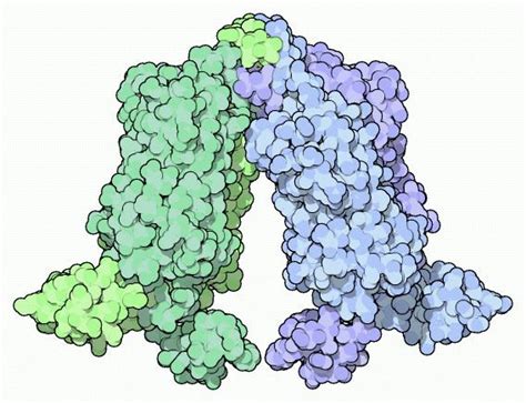 Lac repressor - Alchetron, The Free Social Encyclopedia