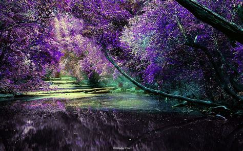 Lilac Wallpapers - Wallpaper Cave