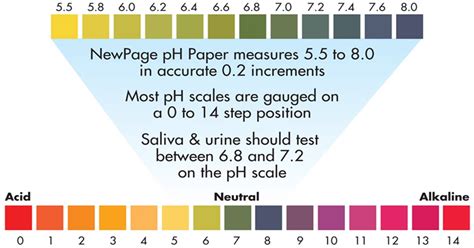 2-Second At Home Tests To Determine Your pH Level - Natural Healing