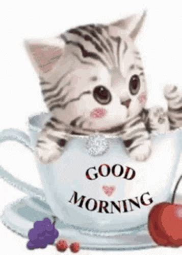 Good Morning Kitten GIF - GoodMorning Kitten TeaCup - Discover & Share GIFs