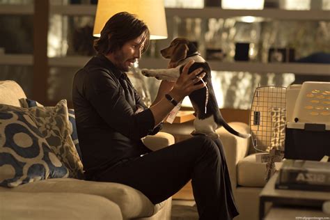 John Wick TV Show: Keanu Reeves to Guest Star, Prequel Focus is Hotel