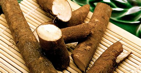 Benefits of Burdock Root | AcuDetox Clinics South Africa