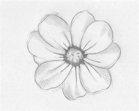 Pencil Drawing Images Flowers at GetDrawings | Free download