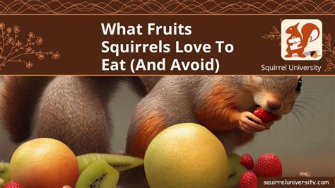 What Fruits Squirrels Eat (and AVOID) - Squirrel University