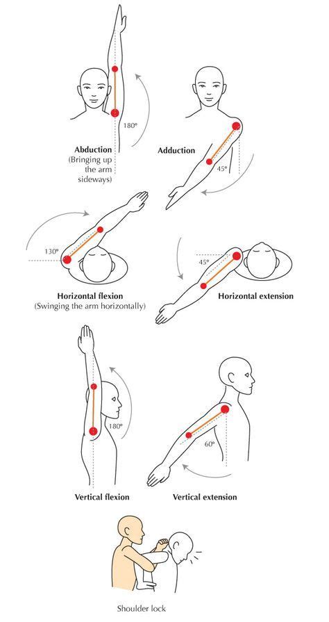 Shoulder Range Of Motion Chart The shoulder | Shoulder range of motion ...