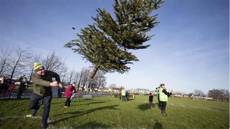 Christmas tree throwing contest held in Ireland - BBC News