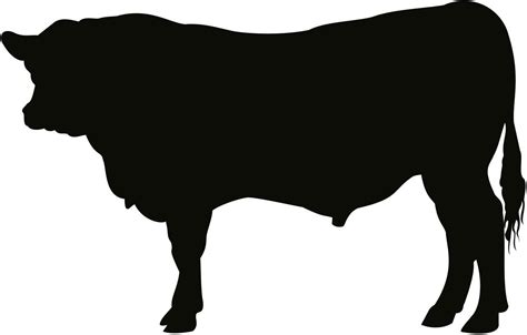 Show Steer Silhouette at GetDrawings | Free download