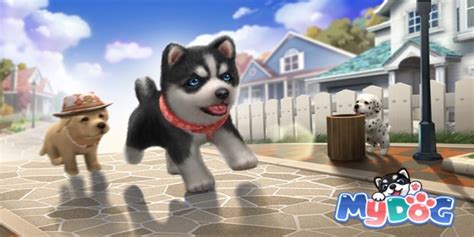 My Dog is a new pet simulation game coming for dog lovers, available now for iOS and Android ...