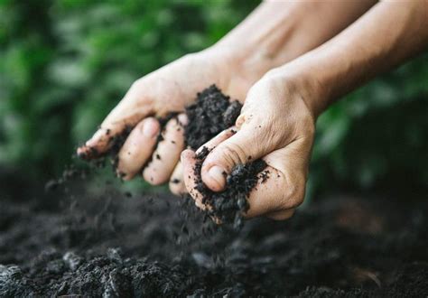 World Soil Day: Soil A Non-Renewable Resource - Economy news - Tasnim News Agency