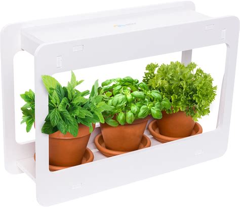 Indoor Vegetable Garden Kit
