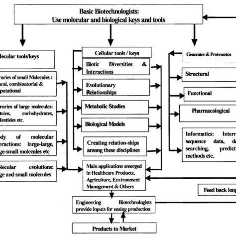 Biotech drug development stages. | Download Scientific Diagram