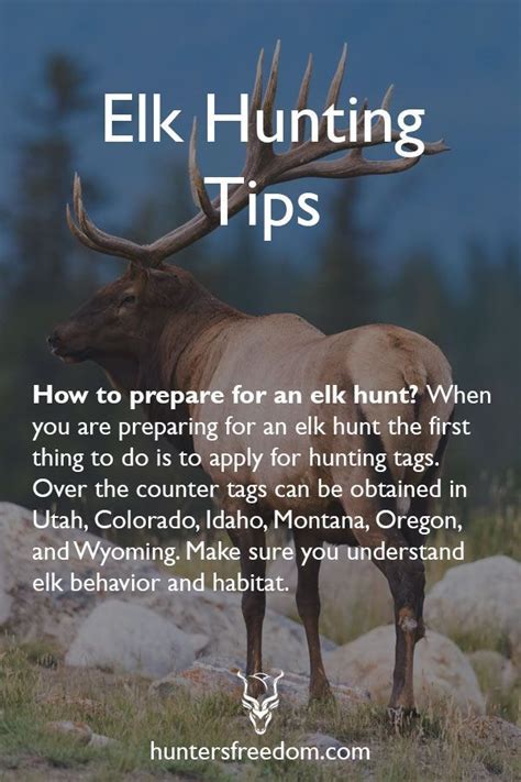 Elk Hunting Tips for Beginners | Wilderness Horizon | Elk hunting tips, Elk hunting, Hunting tips