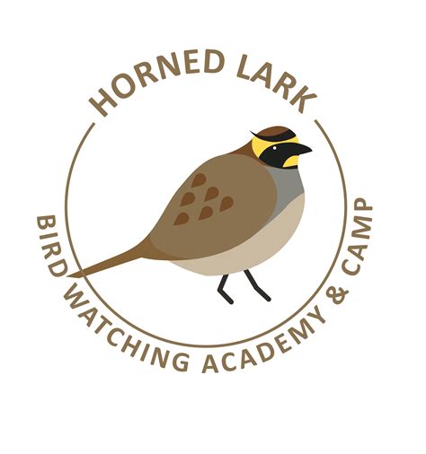 Horned Lark - Bird Watching Academy