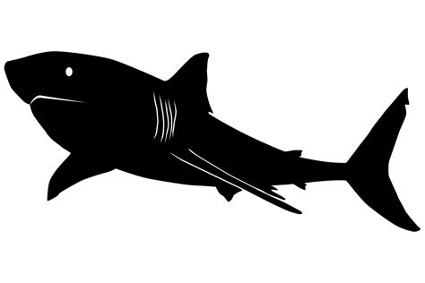 Great White Shark Silhouette Graphic by iDrawSilhouettes · Creative Fabrica