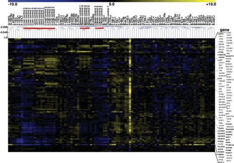 Hierarchical clustering of NanoString gene expression data in canine... | Download Scientific ...