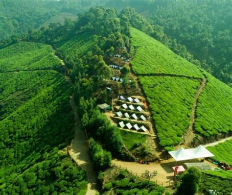 kolukkumalai world highest organic tea plantation Jeepsafari-sunrise-camp