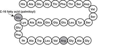 Liraglutide Structure