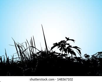 Grassland Background Stock Vector (Royalty Free) 148367102 | Shutterstock