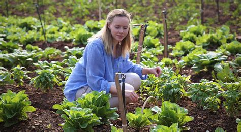 Organic Farming: Types, Benefits & Importance | Fazlani Nature Nest